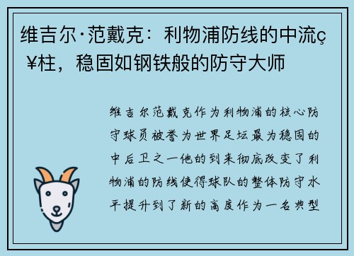 维吉尔·范戴克：利物浦防线的中流砥柱，稳固如钢铁般的防守大师